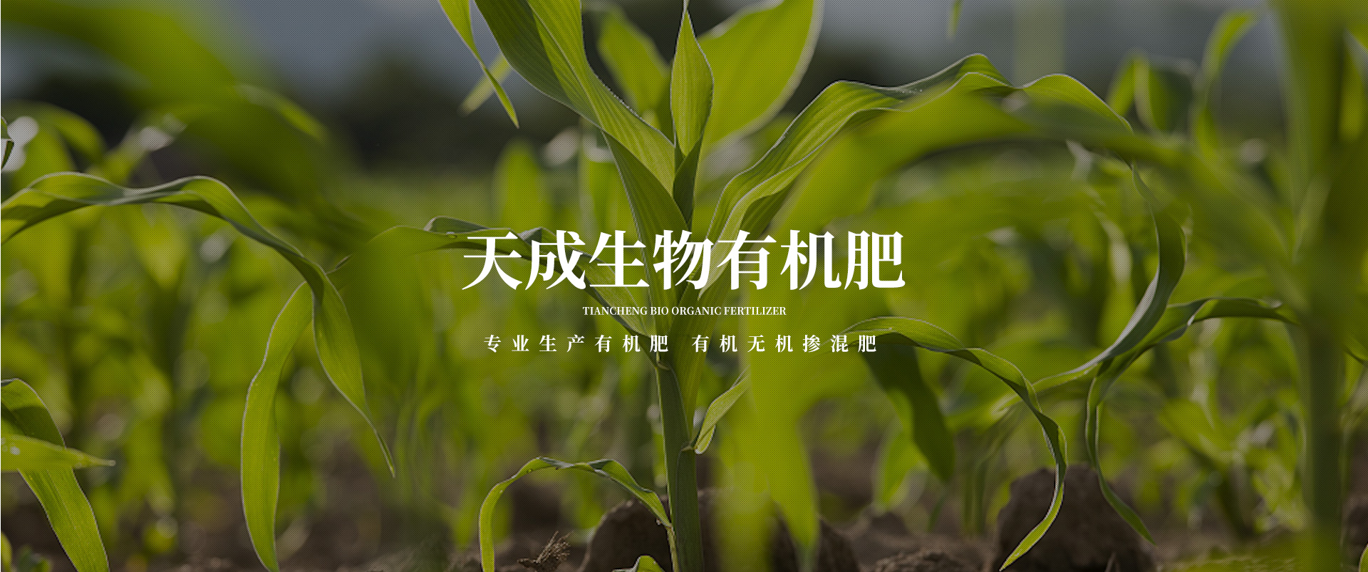 天成生物